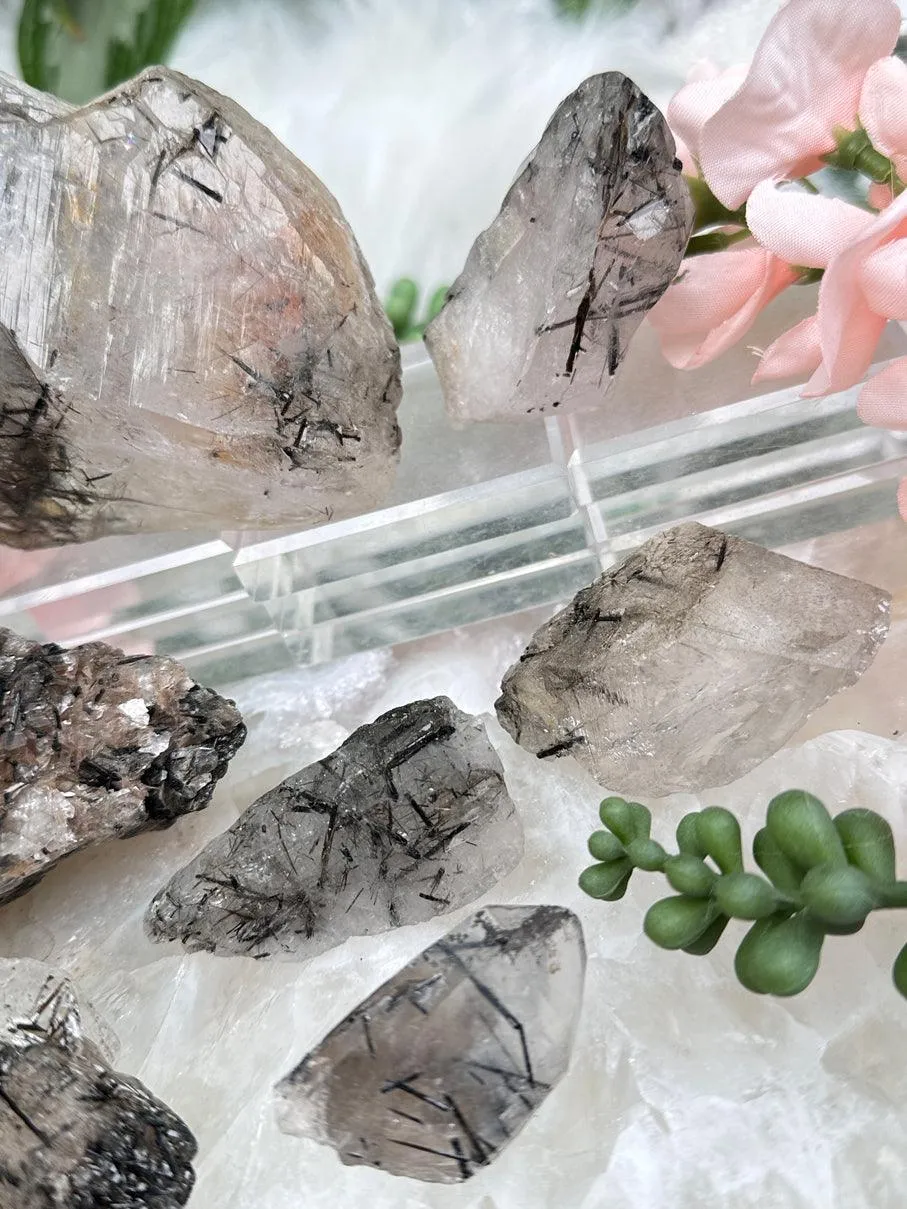 Black Tourmaline in Quartz