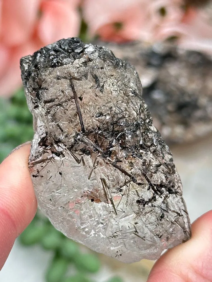 Black Tourmaline in Quartz