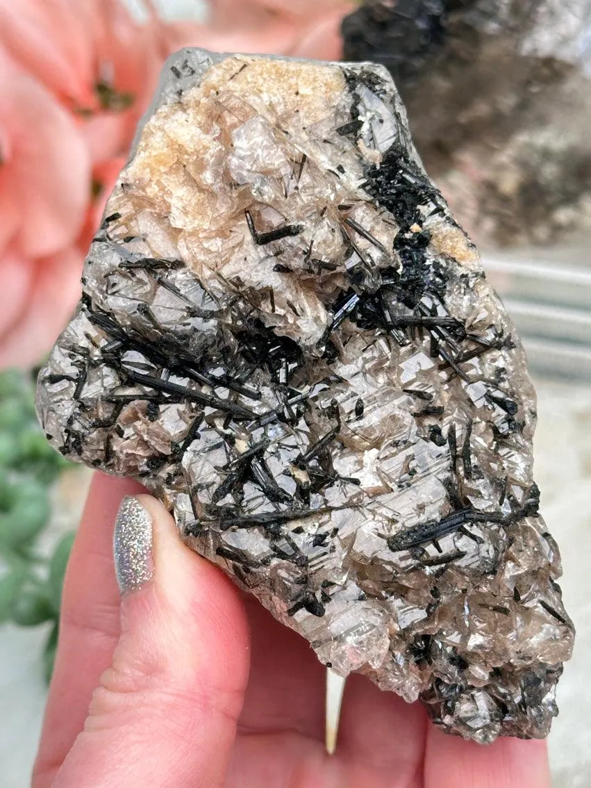 Black Tourmaline in Quartz