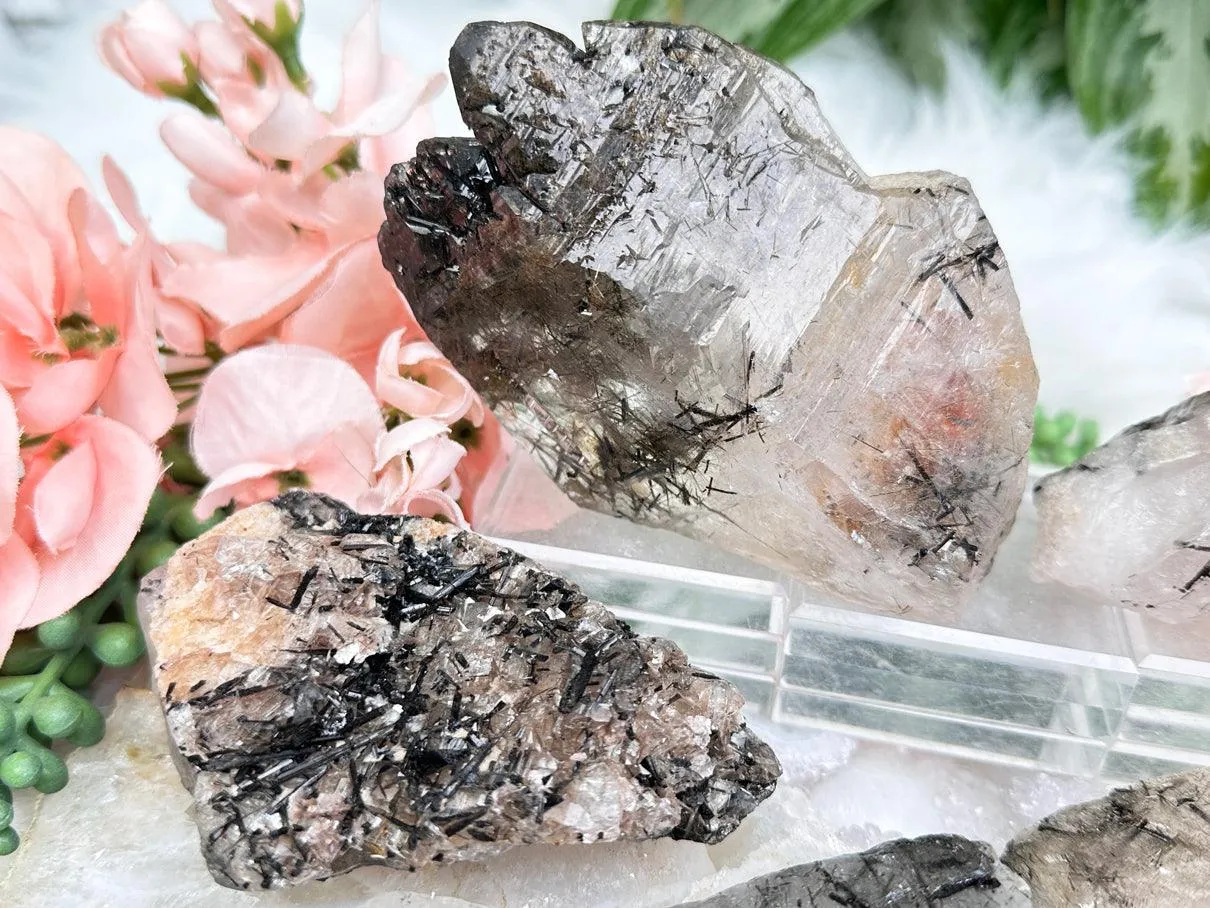 Black Tourmaline in Quartz