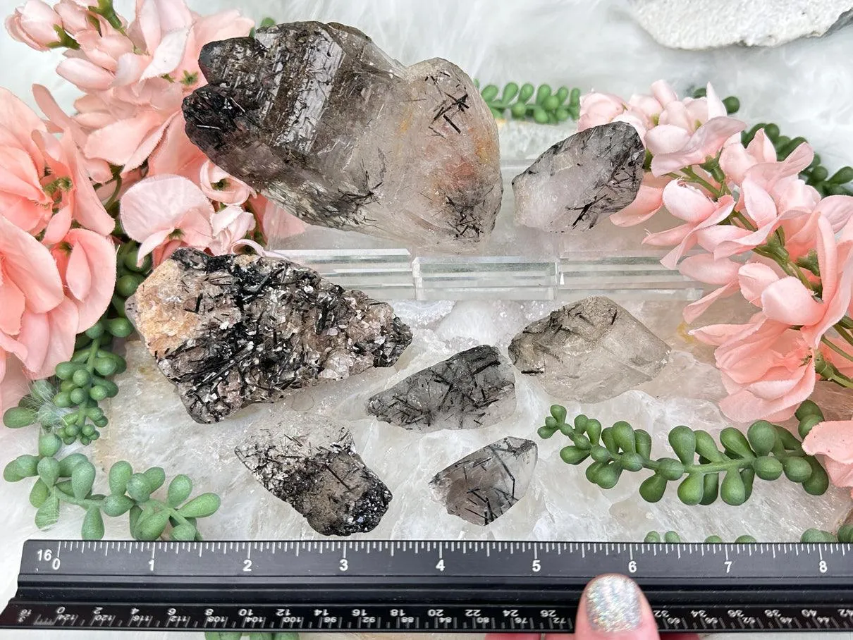 Black Tourmaline in Quartz
