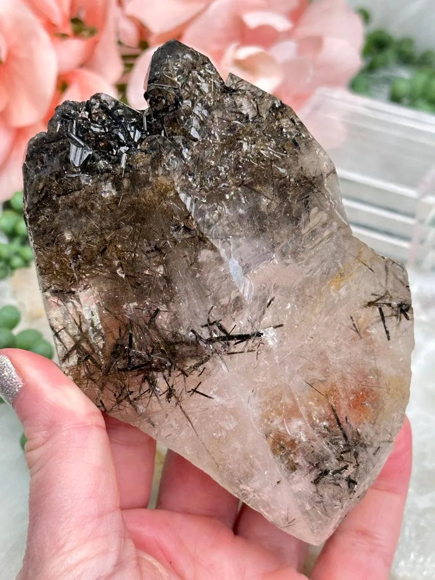 Black Tourmaline in Quartz