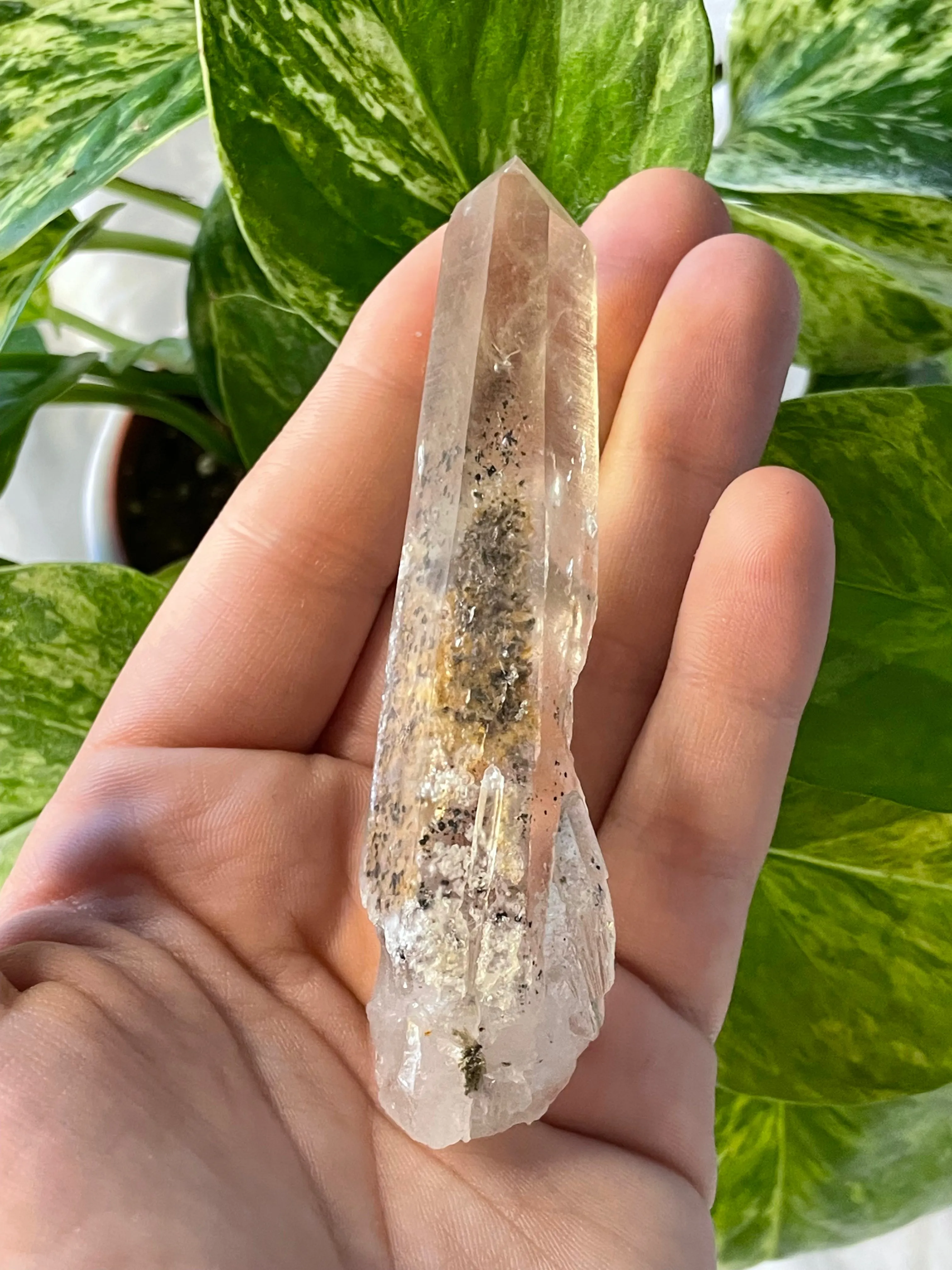 Citrine with Actinolite and Chlorite Inclusions, Citrine Quartz from Harisson Lake, British Columbia, Canada