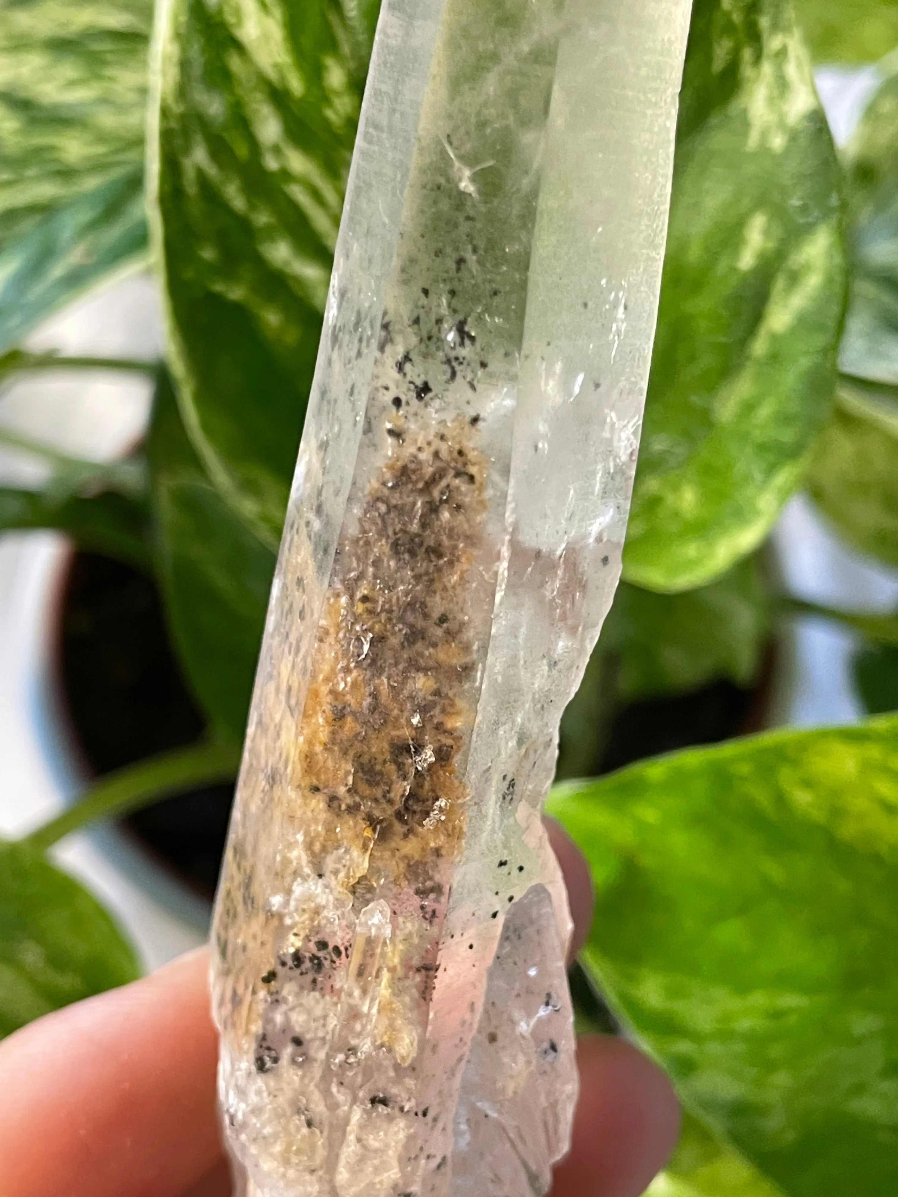 Citrine with Actinolite and Chlorite Inclusions, Citrine Quartz from Harisson Lake, British Columbia, Canada
