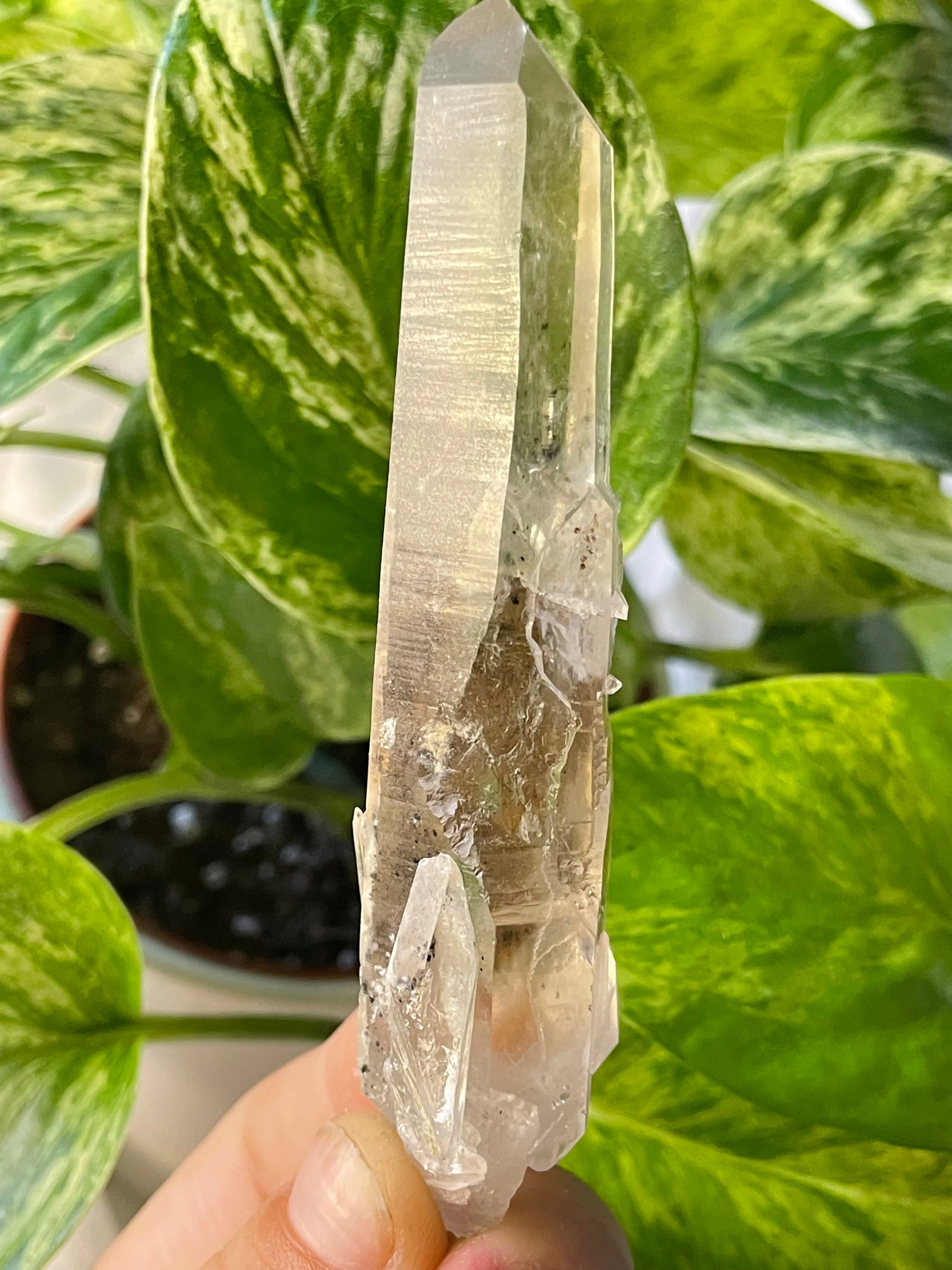 Citrine with Actinolite and Chlorite Inclusions, Citrine Quartz from Harisson Lake, British Columbia, Canada