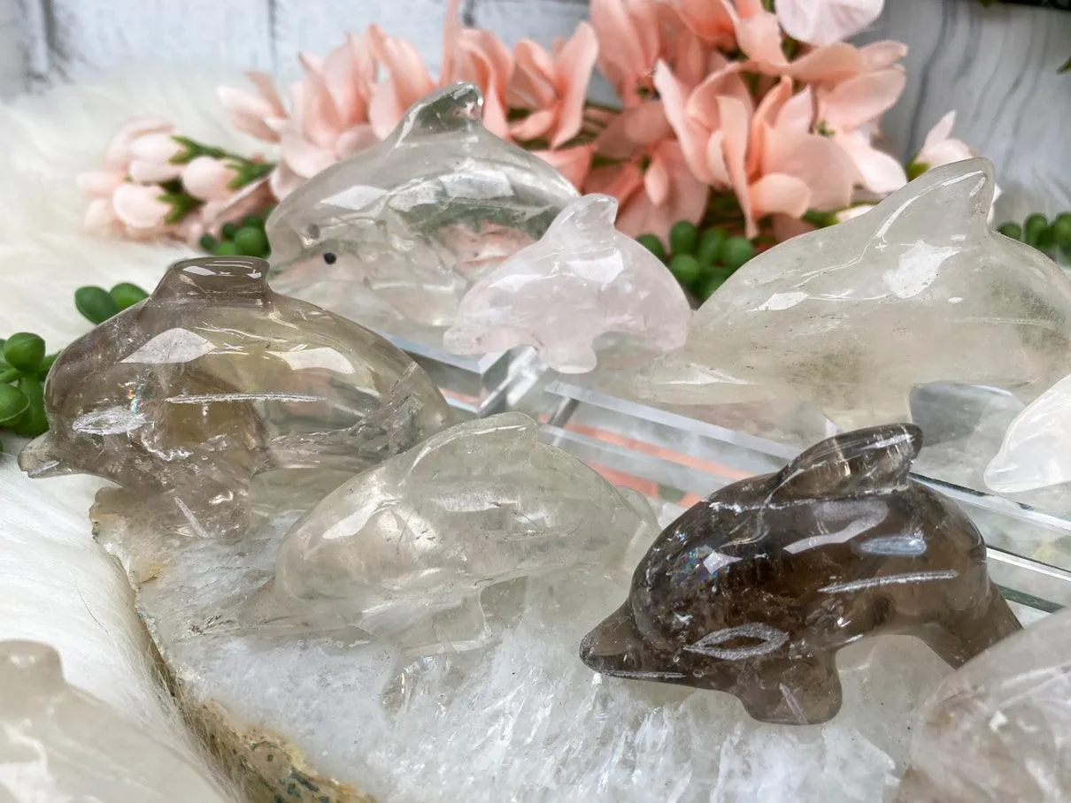 Dolphin Crystals