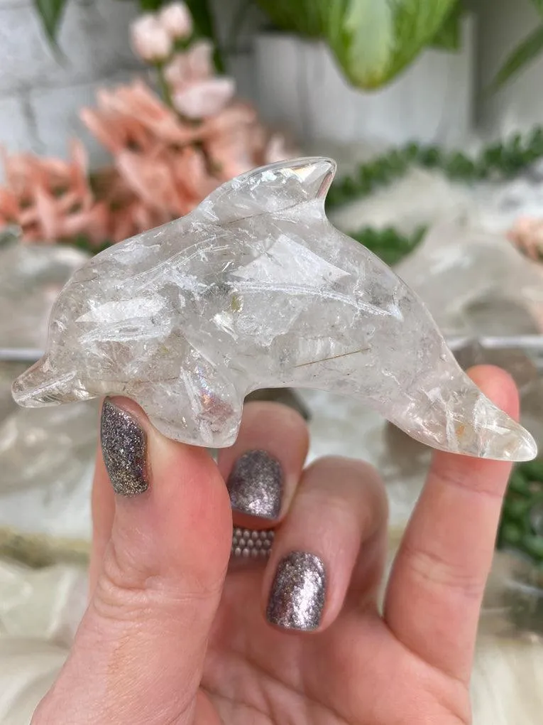 Dolphin Crystals