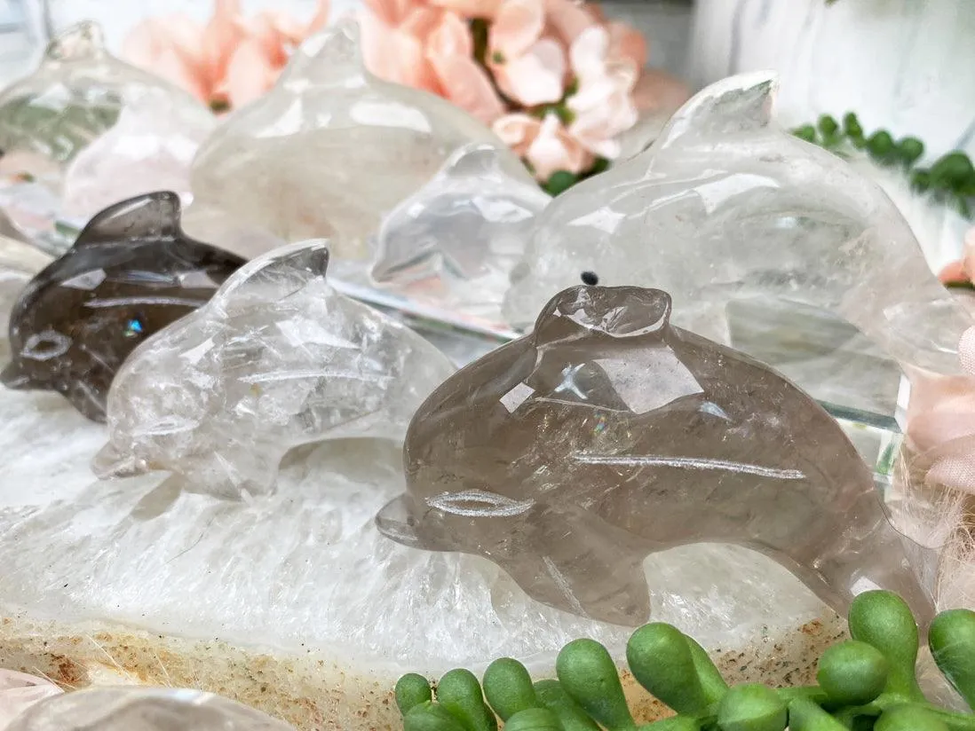 Dolphin Crystals