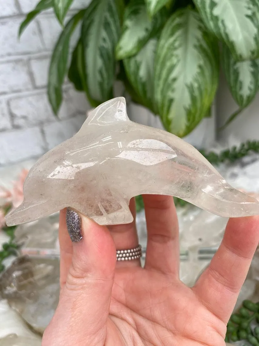 Dolphin Crystals