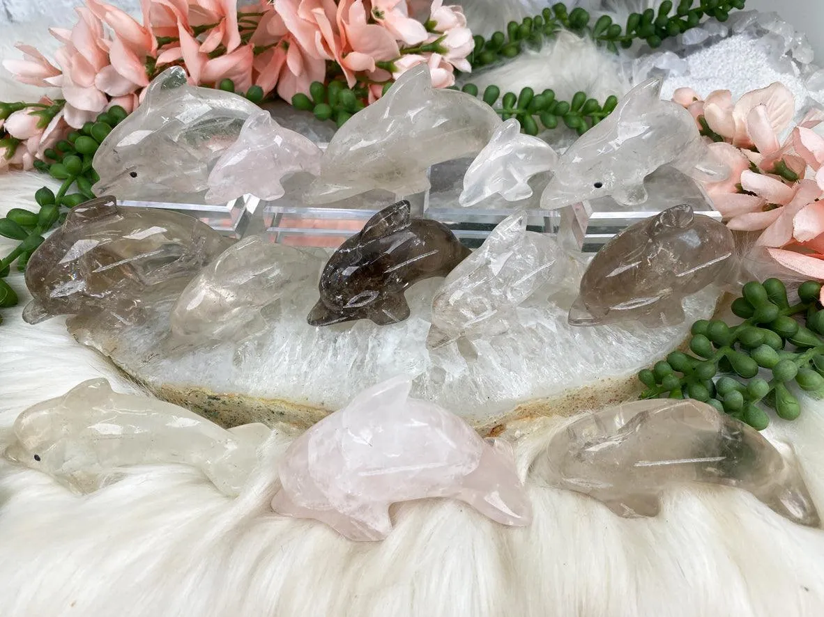 Dolphin Crystals