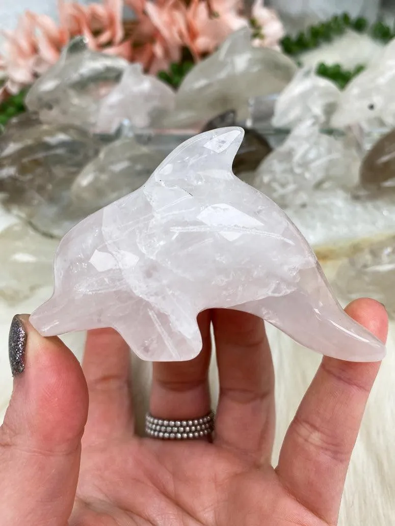 Dolphin Crystals