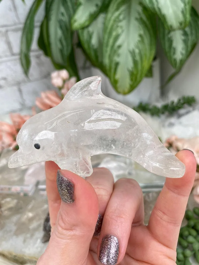 Dolphin Crystals