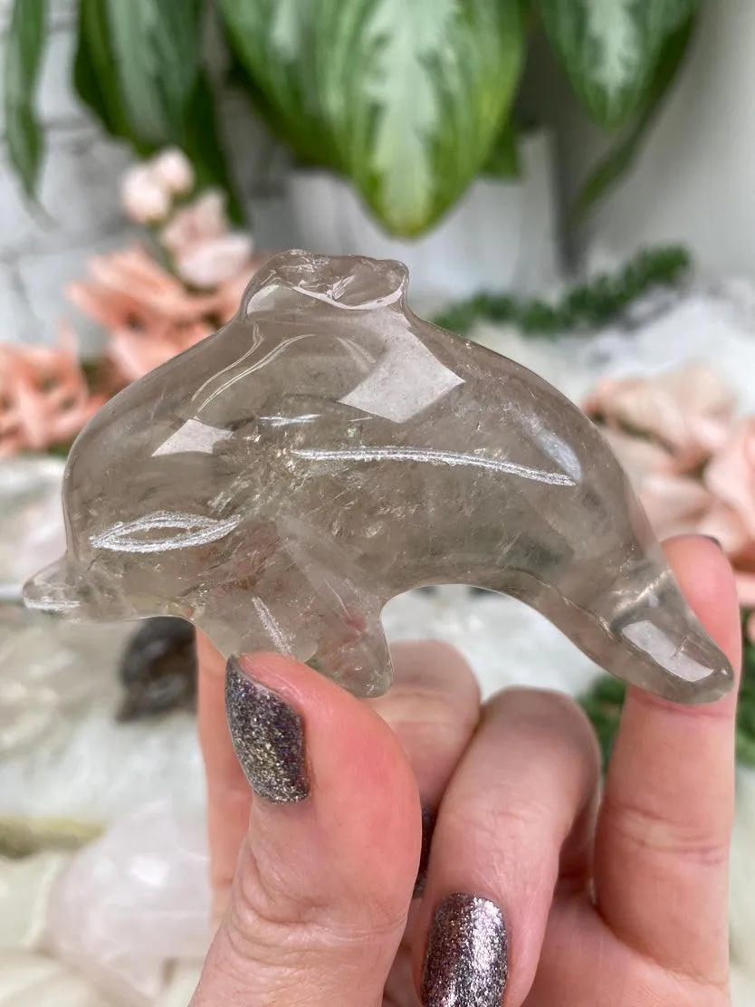 Dolphin Crystals