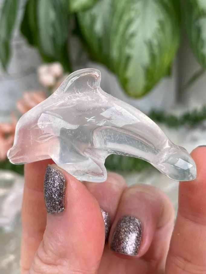 Dolphin Crystals