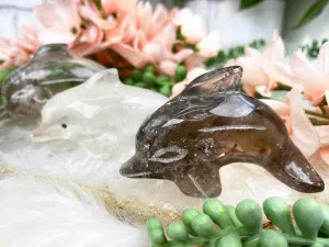 Dolphin Crystals