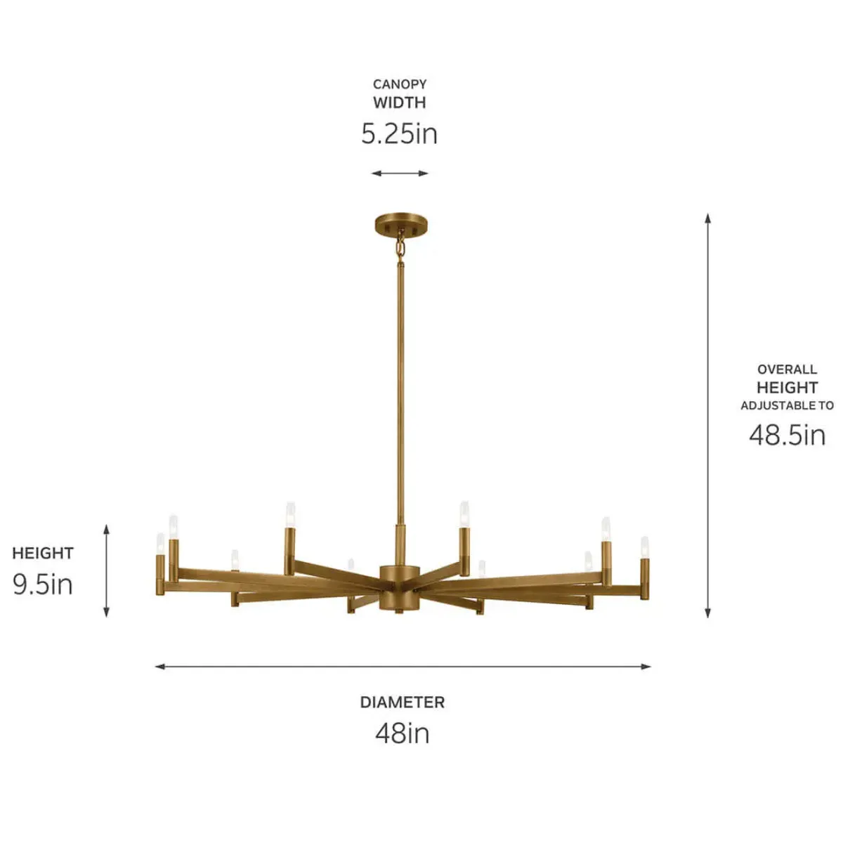Erzo 48 in. 10 Lights Chandelier Brass Finish
