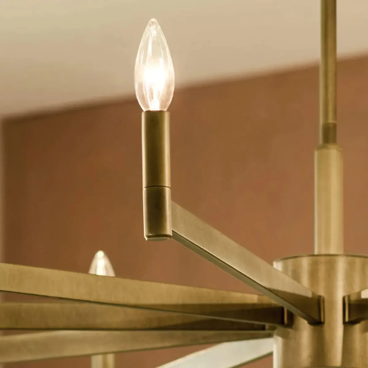 Erzo 48 in. 10 Lights Chandelier Brass Finish