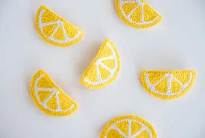 Lemon Slice Hair Clips