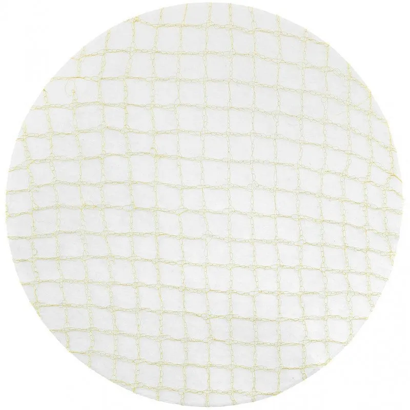 Mesh Hair Net Barrette