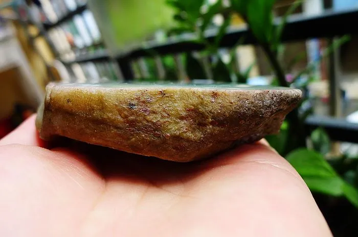 Natural Jade Rough Jadeite Raw (545g,12.4X8.6X2.8cm)