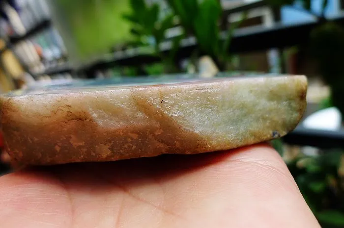 Natural Jade Rough Jadeite Raw (545g,12.4X8.6X2.8cm)