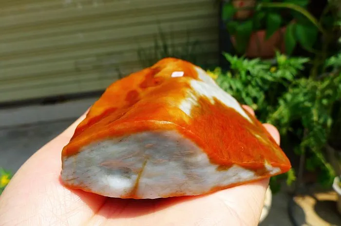 Natural Jade Rough Jadeite Raw (560g,14X8.2X2.7cm)