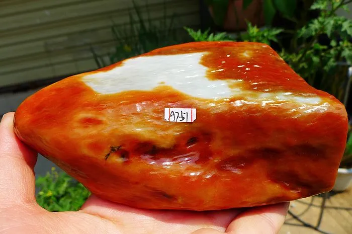 Natural Jade Rough Jadeite Raw (560g,14X8.2X2.7cm)