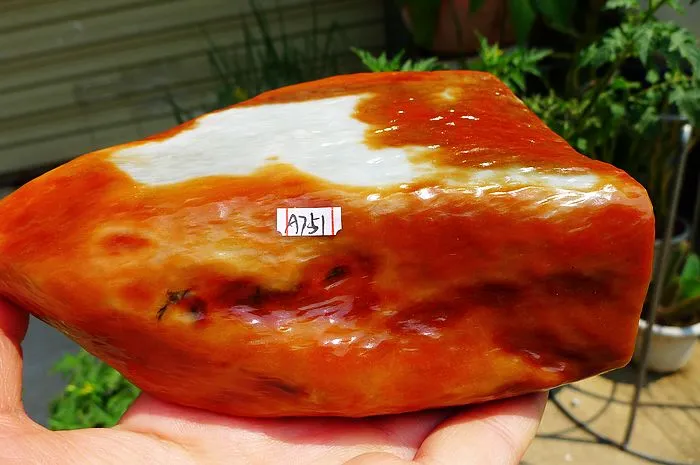 Natural Jade Rough Jadeite Raw (560g,14X8.2X2.7cm)