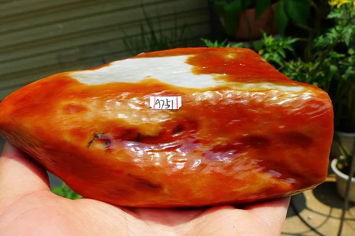 Natural Jade Rough Jadeite Raw (560g,14X8.2X2.7cm)