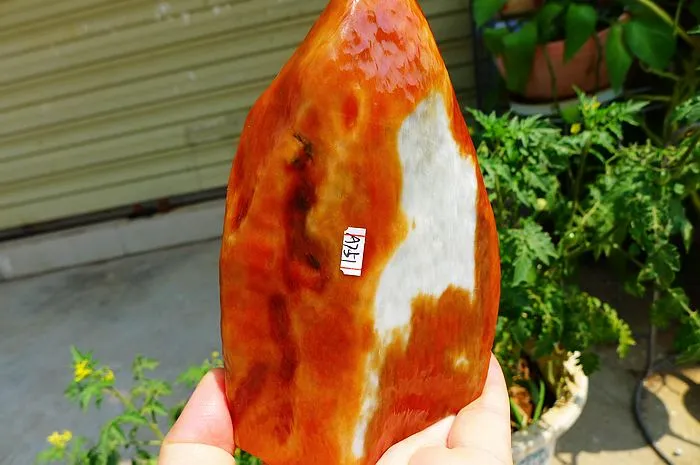 Natural Jade Rough Jadeite Raw (560g,14X8.2X2.7cm)