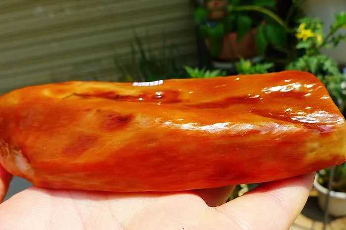 Natural Jade Rough Jadeite Raw (560g,14X8.2X2.7cm)