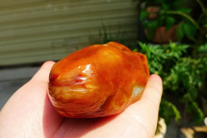 Natural Jade Rough Jadeite Raw (560g,14X8.2X2.7cm)