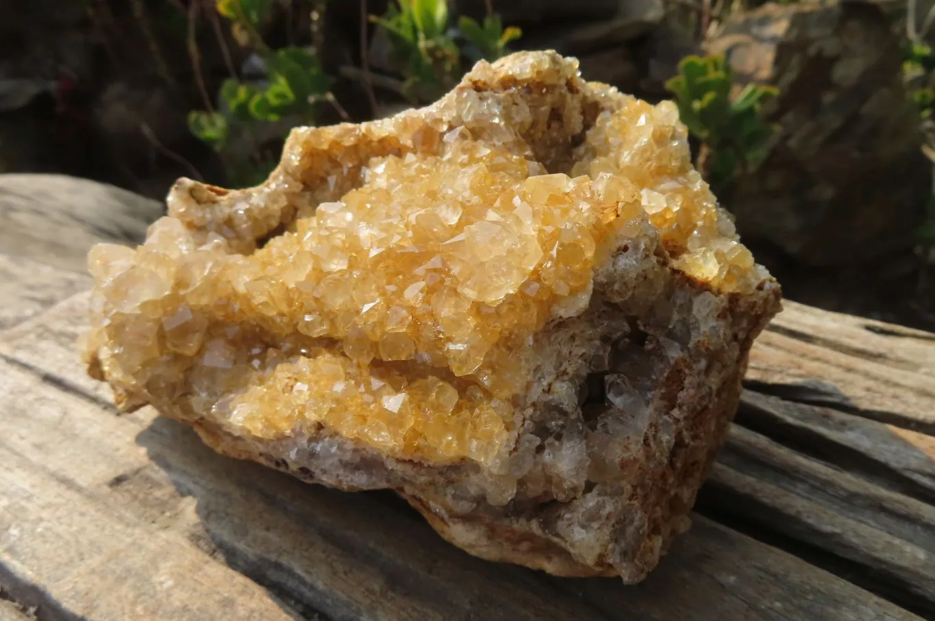 Natural Limonite Quartz Specimens x 2 From Zambia