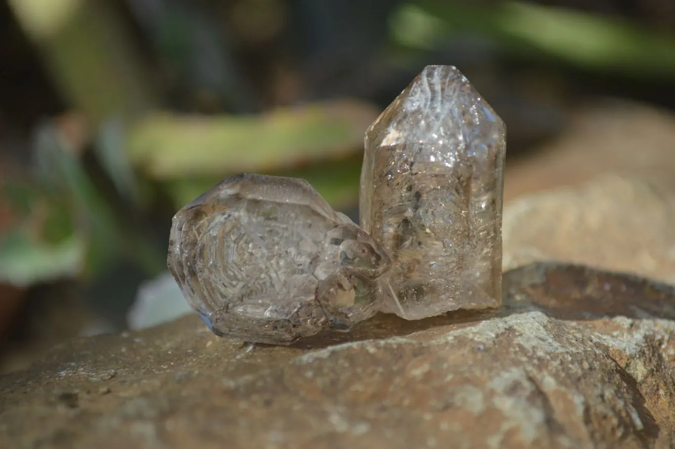 Natural Mixed Clear & Smokey Brandberg Quartz Crystals x 20 From Brandberg, Namibia