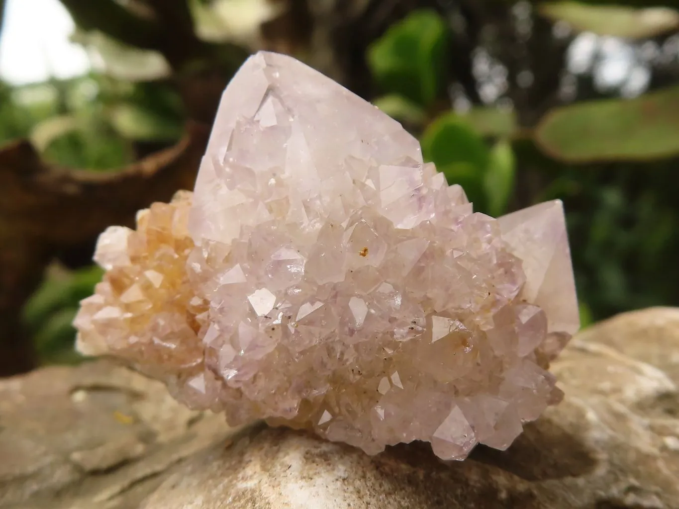 Natural Mixed Selection Of Small Spirit Quartz Crystals x 35 From Boekenhouthoek, South Africa