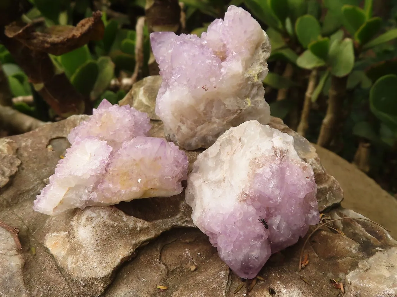 Natural Mixed Selection Of Small Spirit Quartz Crystals x 35 From Boekenhouthoek, South Africa