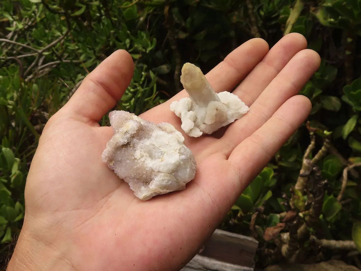 Natural Mixed Selection Of Small Spirit Quartz Crystals x 35 From Boekenhouthoek, South Africa