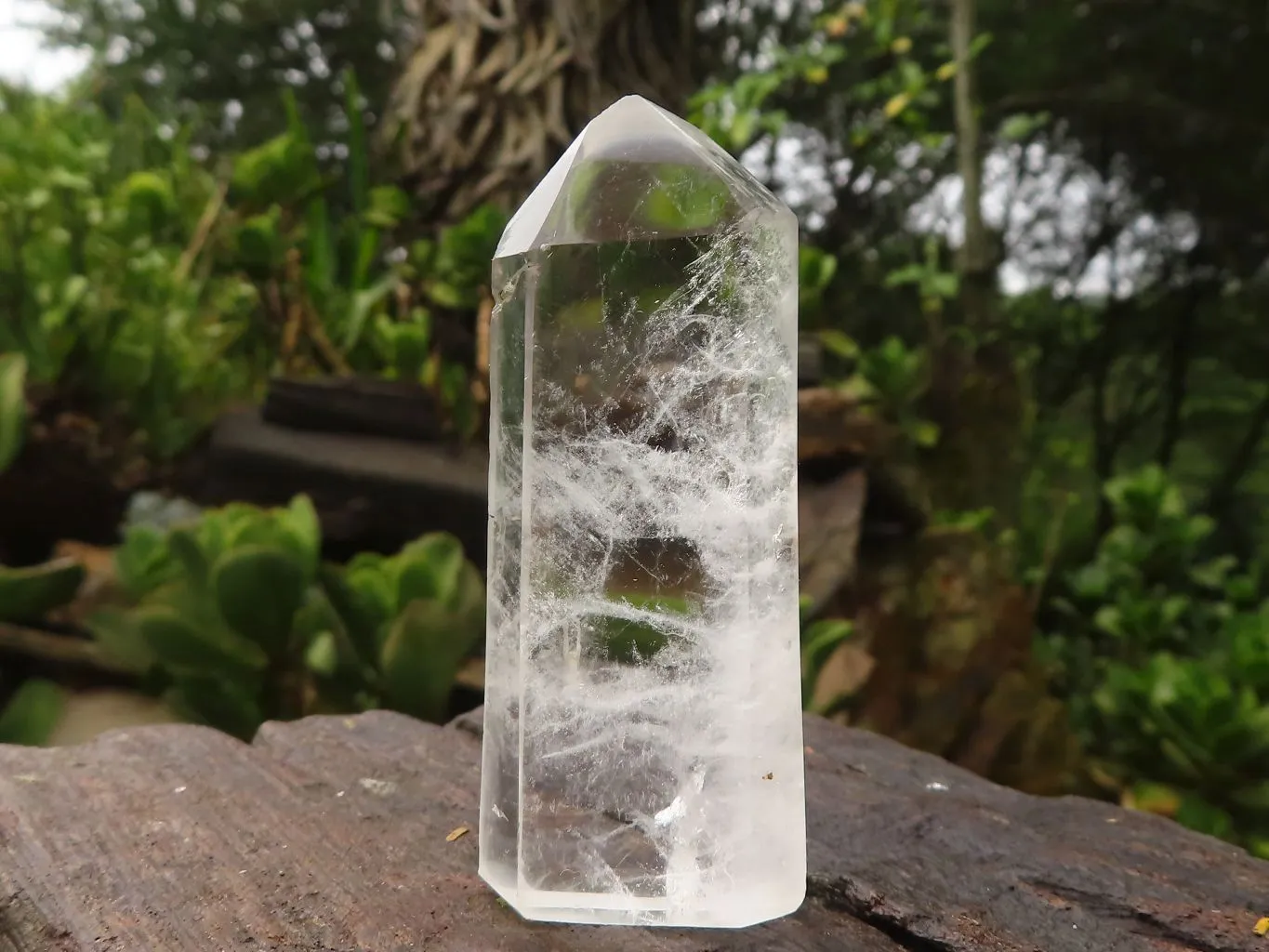 Polished Semi Optic Clear Quartz Points x 12 From Madagascar