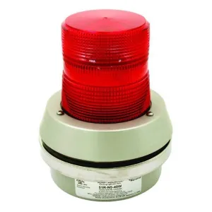 RKI 2 Wire Flashing Alarm Light/Horn, 115 VAC, 40 Watt Lamp