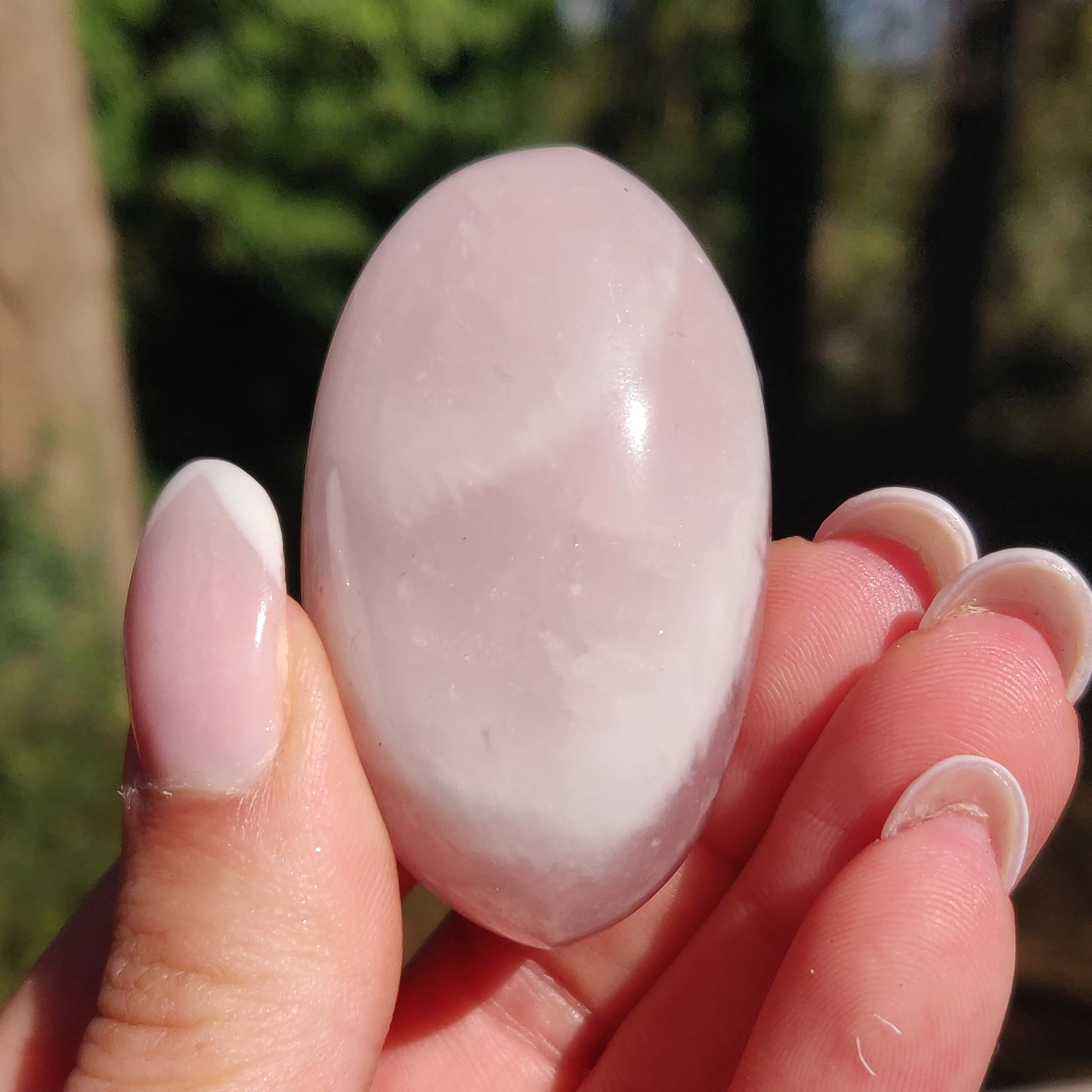 Rose Quartz Palm Stone (#17)