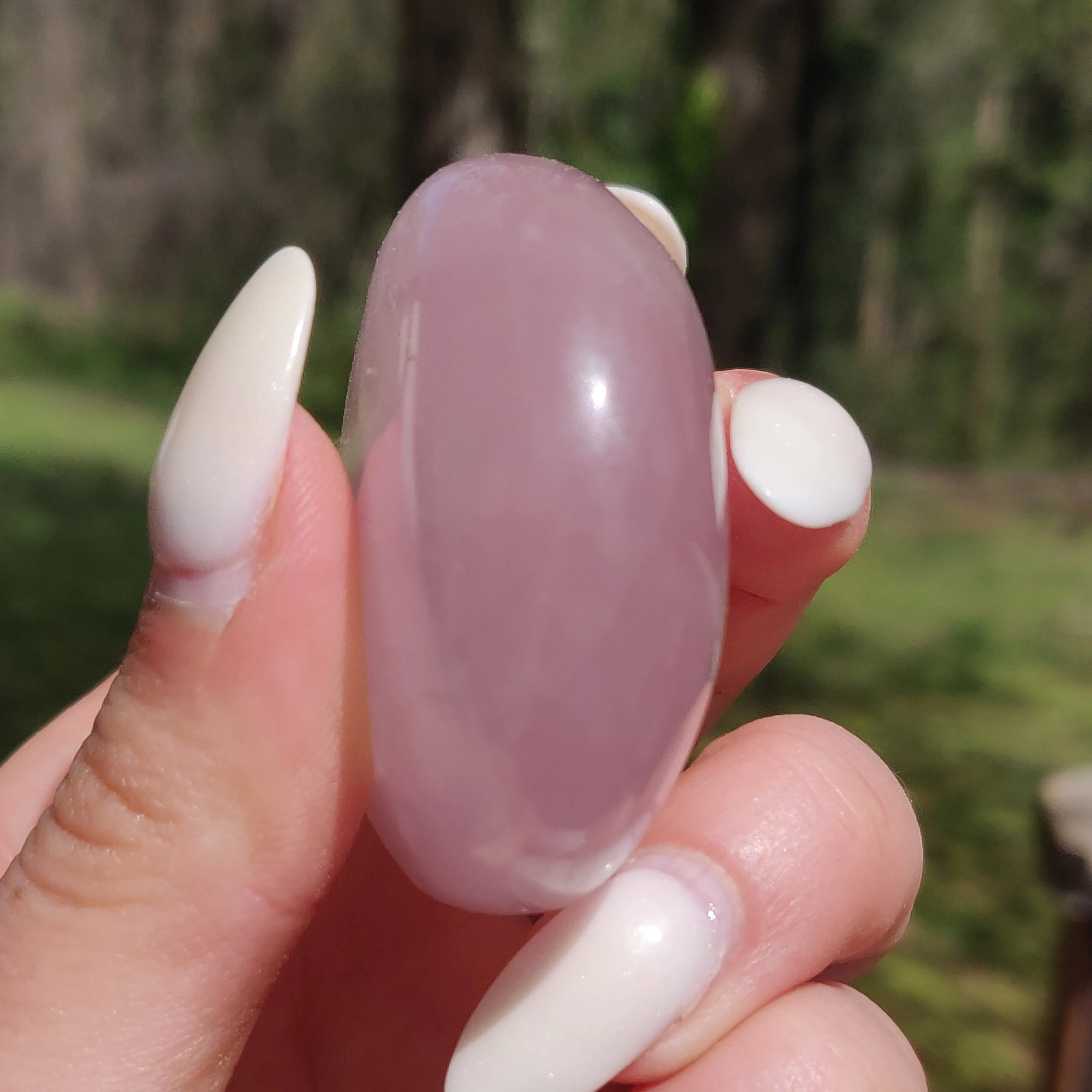 Rose Quartz Palm Stone, Star Rose Quartz (#5)