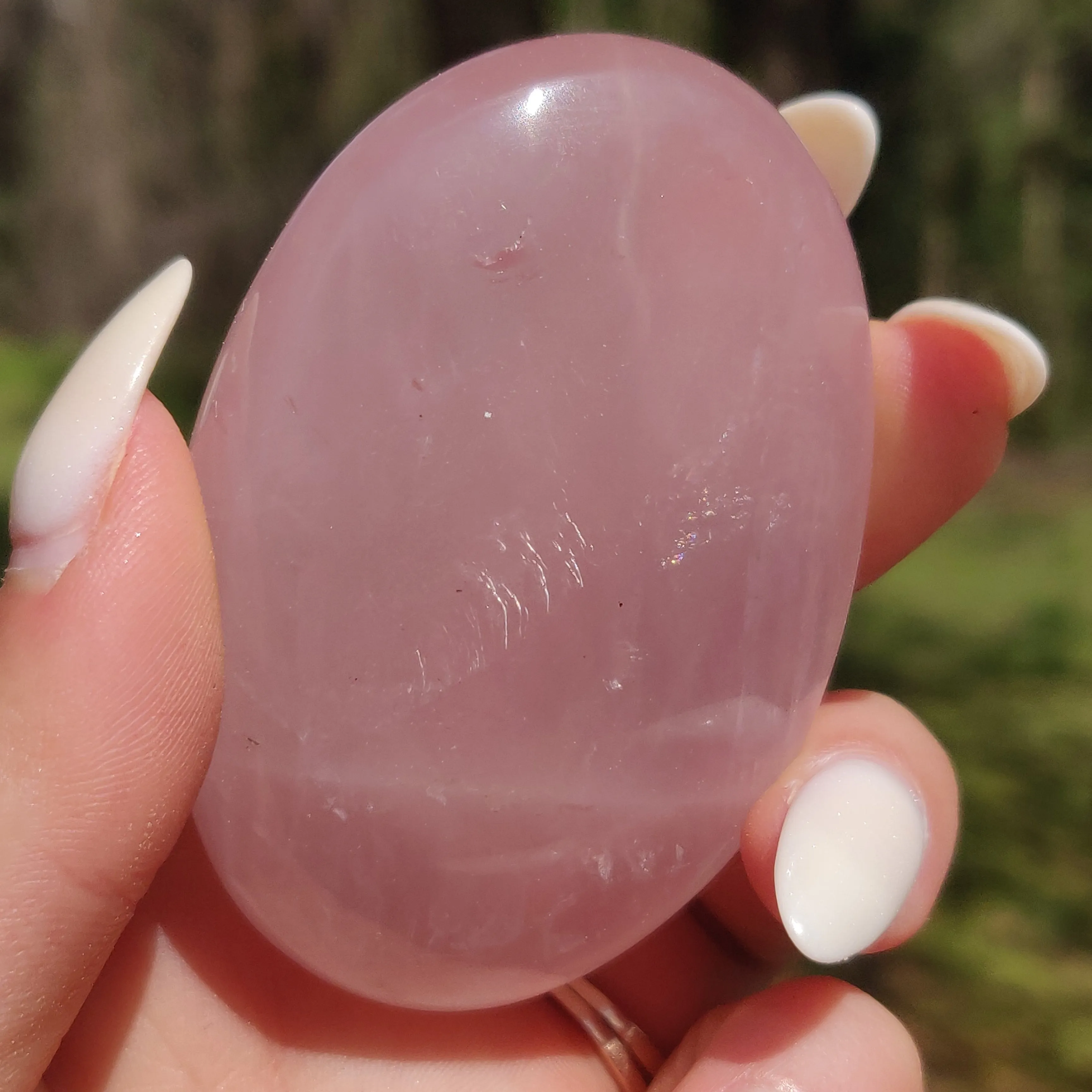 Rose Quartz Palm Stone, Star Rose Quartz (#5)