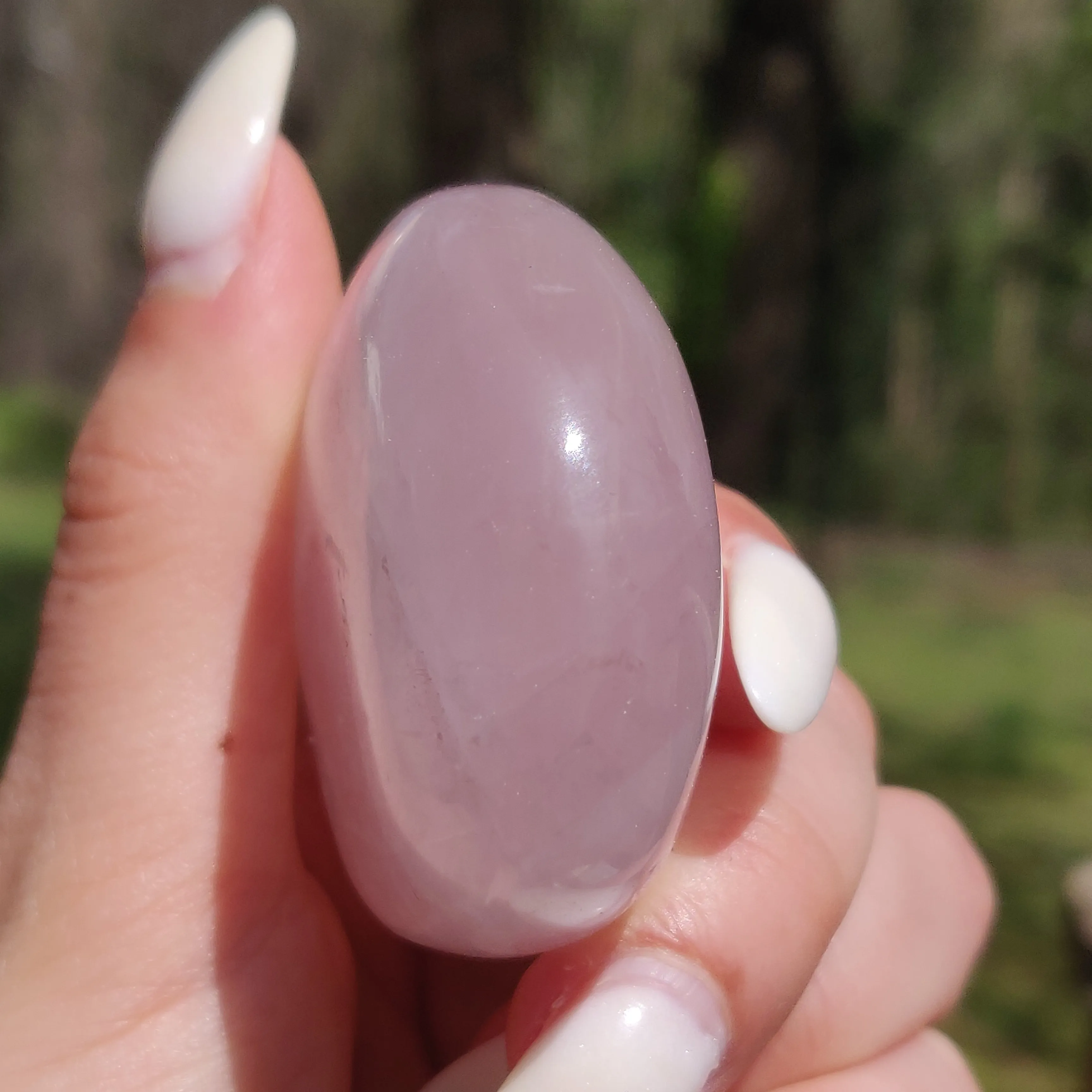 Rose Quartz Palm Stone, Star Rose Quartz (#5)