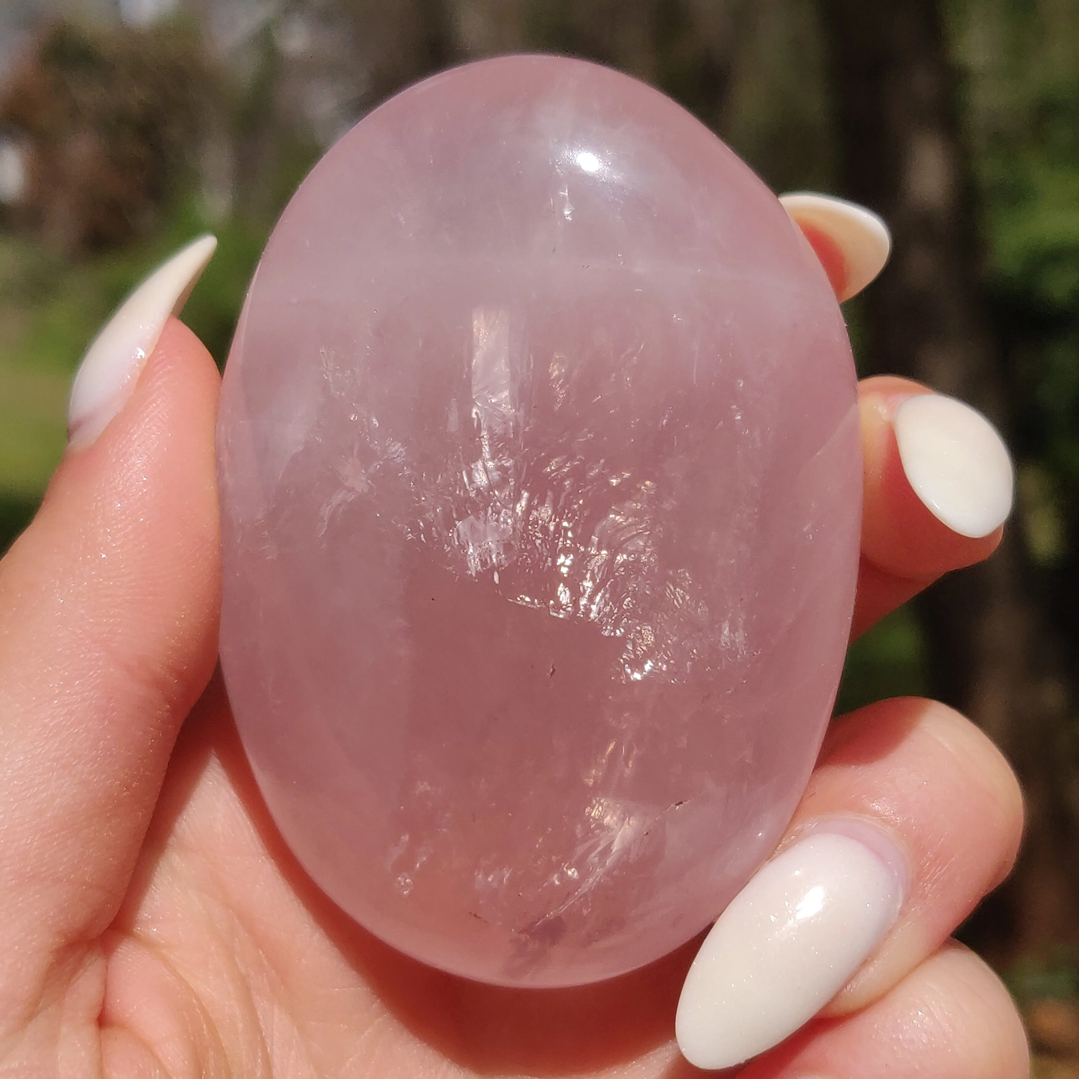 Rose Quartz Palm Stone, Star Rose Quartz (#5)