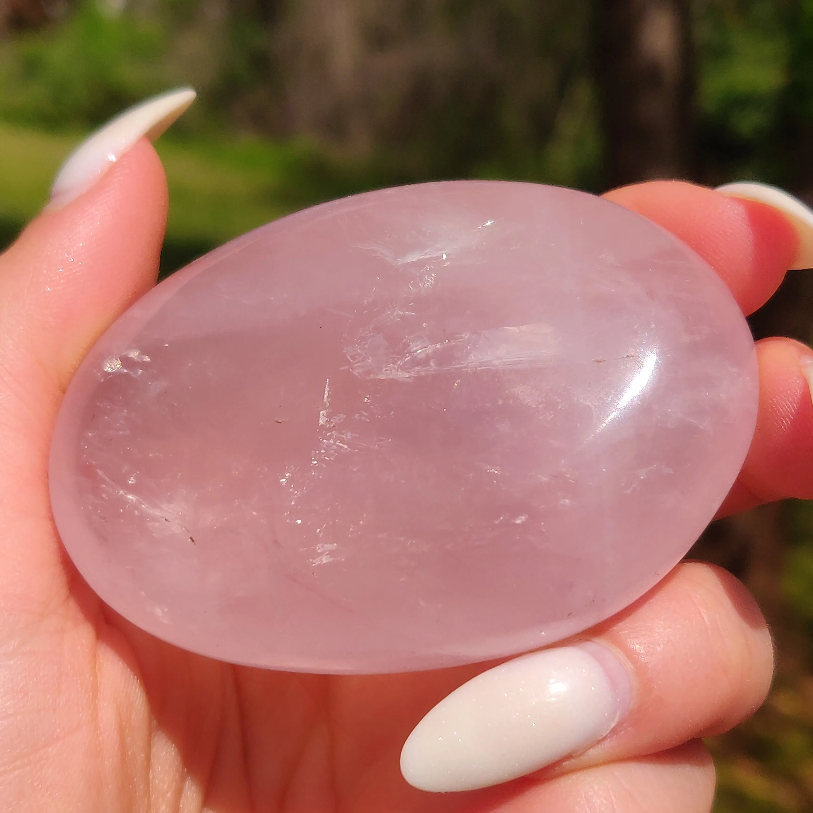 Rose Quartz Palm Stone, Star Rose Quartz (#5)
