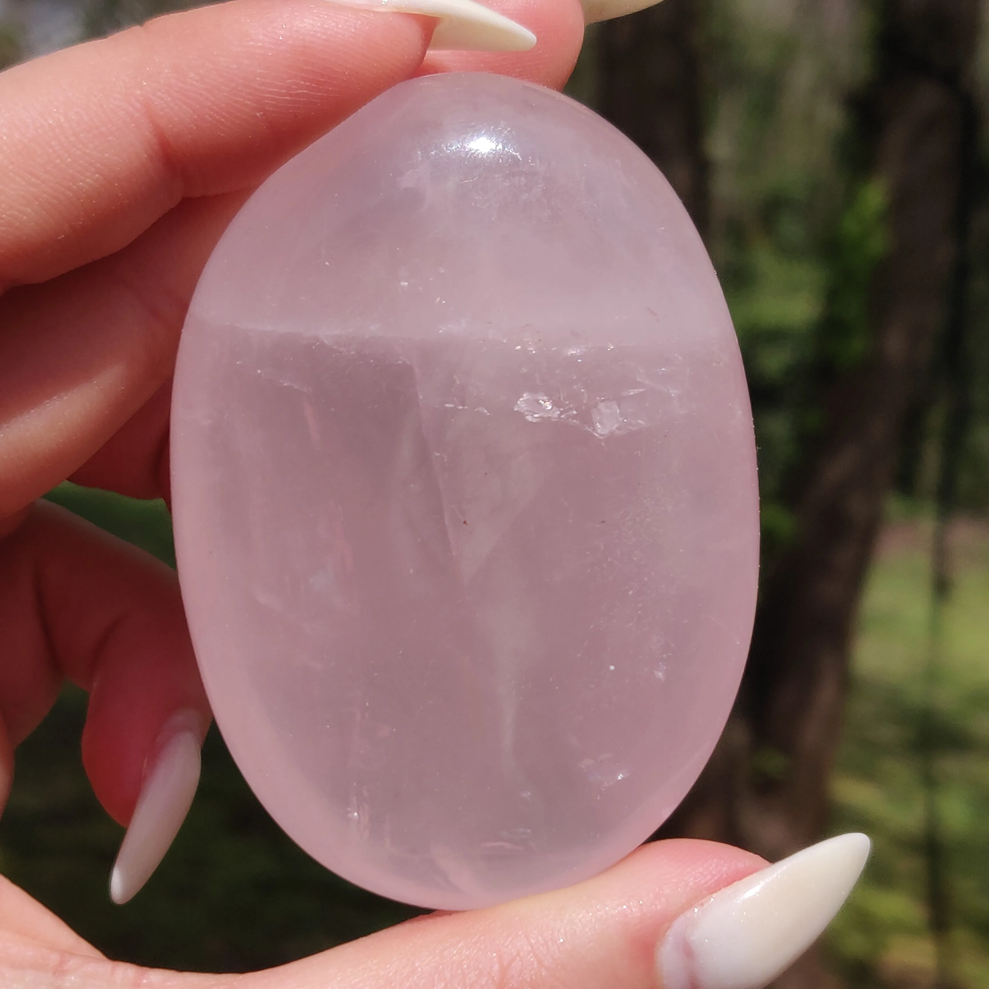 Rose Quartz Palm Stone, Star Rose Quartz (#5)
