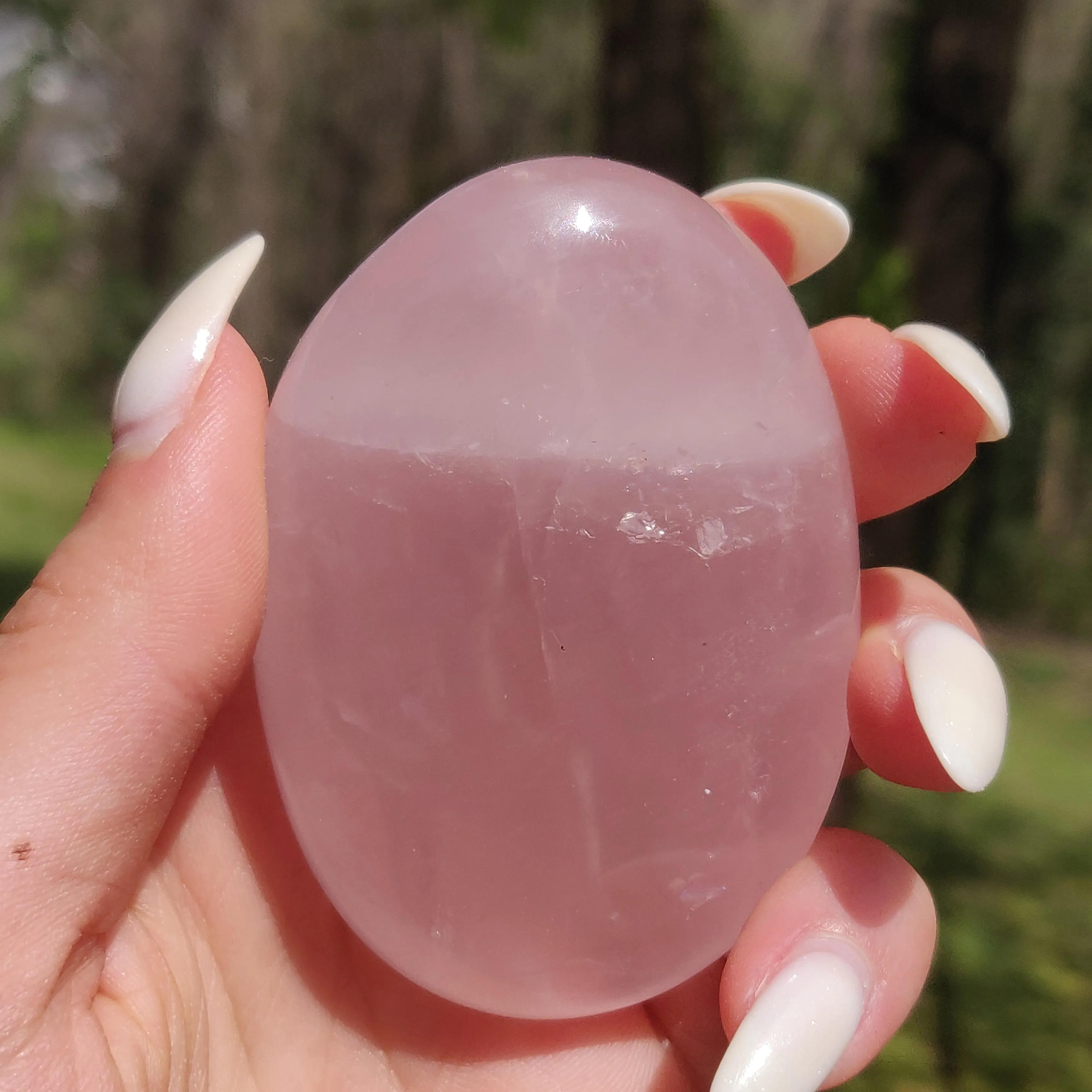 Rose Quartz Palm Stone, Star Rose Quartz (#5)