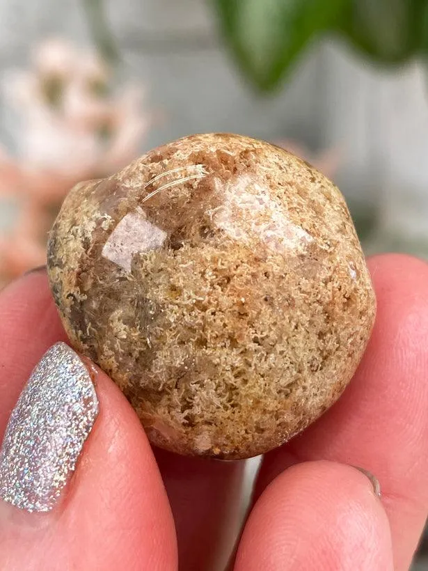Small Rutile Quartz Lenses